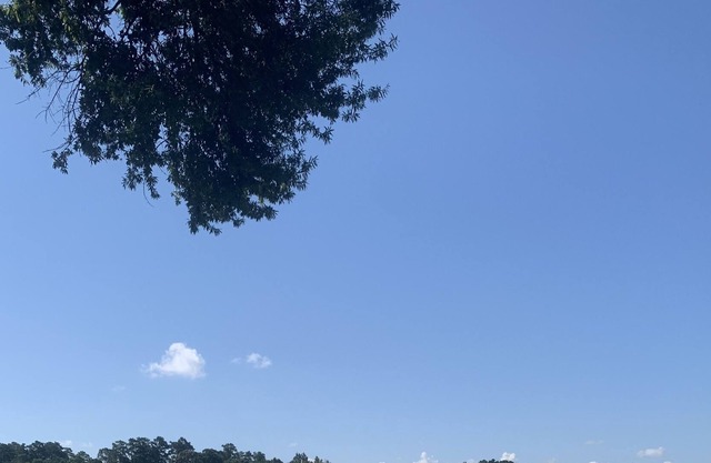 Big Water Views with Private Beach, Dock, Lake Toys and Fire Pit on two acres!