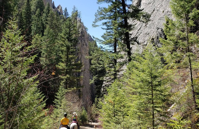 Birders delight! Beautiful hiking! Mountain biking! Fishing!