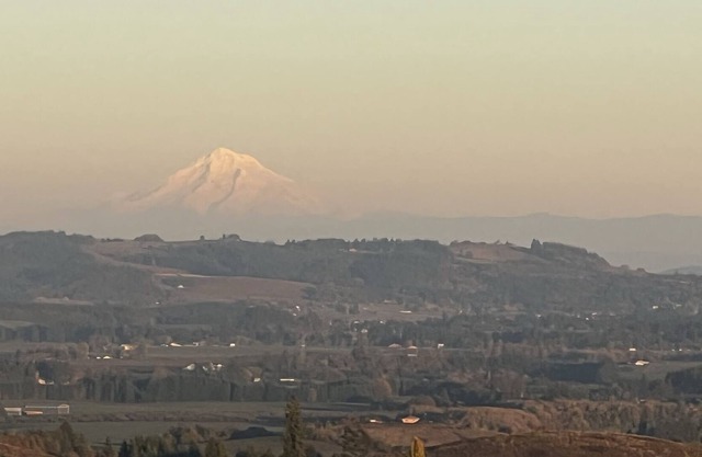 Blissful Peace w/ Million $ View