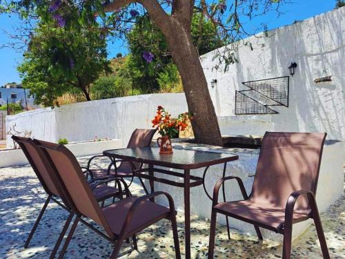 Blue Acacia in Alinda Leros