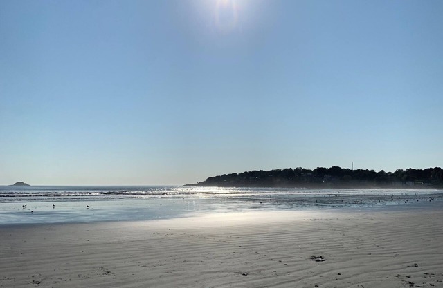 Blue View Nahant! Steps to the beach, ocean views. Relax and work “from home”!