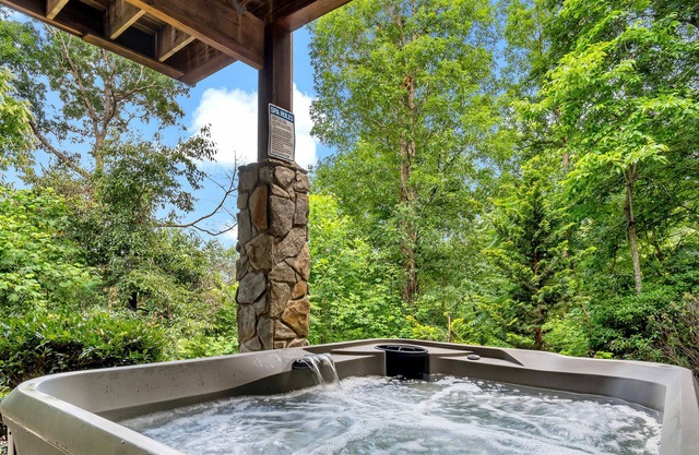 Blueridge Sunrise - Hot Tub, Fire Pit, Resort!