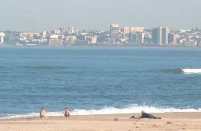 Bluewater Guesthouse