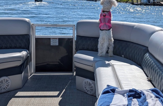 Boat Included Pool Pet Friendly. A Most Unique Vacation Home in the country 4U