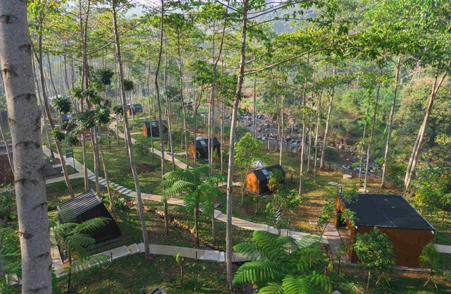 Bobocabin The Tavia Puncak