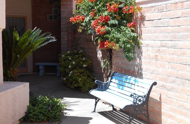 BOOKED THRU MAY 2026. Reservations avail for June, July, August 2026, or 2027.
