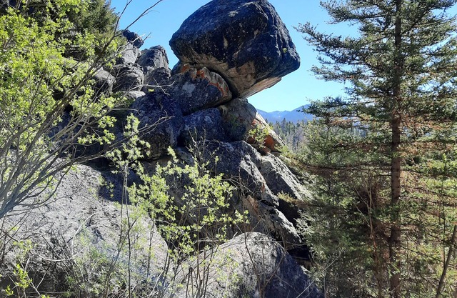 Borders year around outdoor recreation, 3.34 million acres of US National Forest