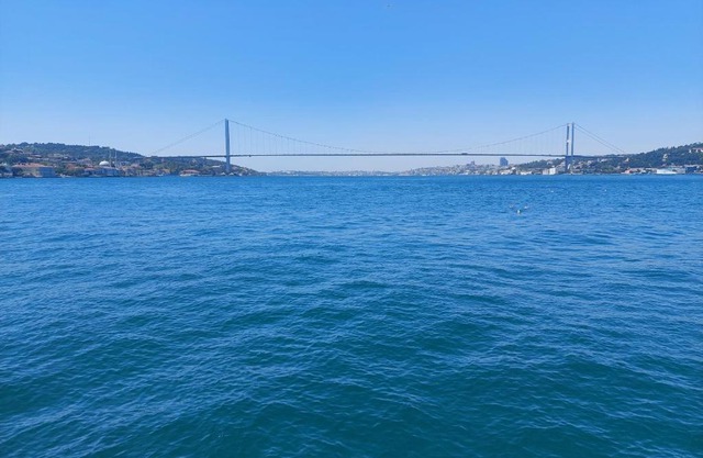 BOSPHORUS MANSION WILL AMAZE YOU w/ PRIVATE DUCK