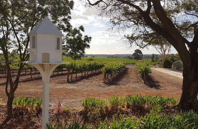 Boutique accommodation peacefully set amongst you're own private vineyard