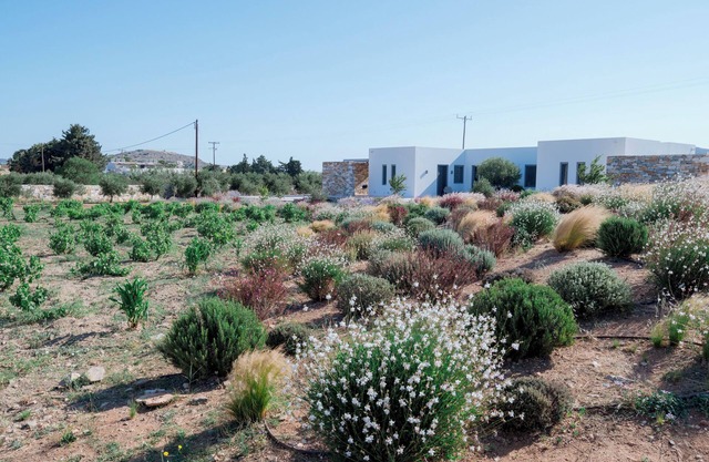 Bracket House Paros Villa with Private Pool Sleeps 8