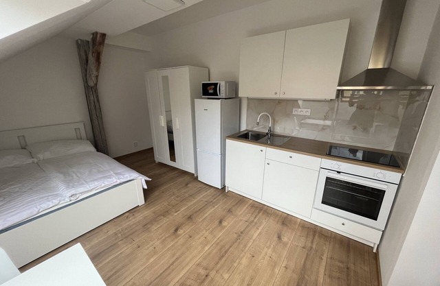 Brand new flat in centre of the Prague (1)