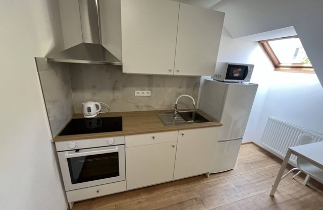 Brand new flat in city centre (7)
