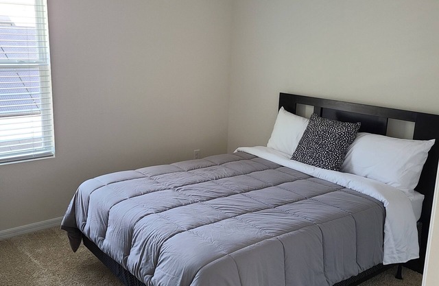 Brand new modern home near the heart of Tampa