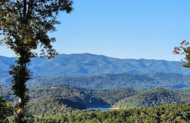 Breathtaking Panoramic Skyline Mountain Top View Cabin