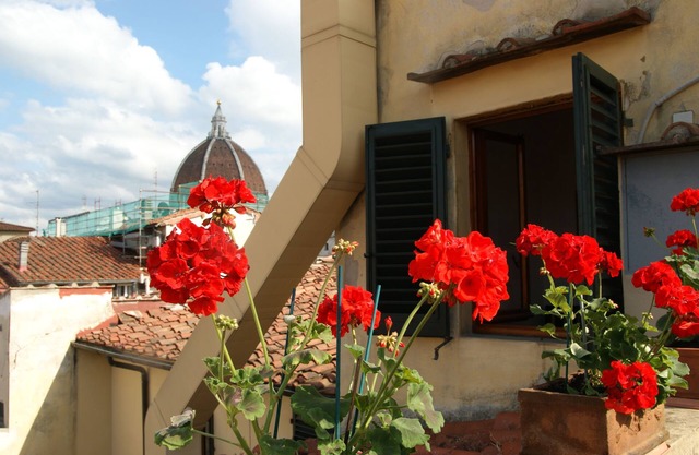 Breathtaking view, terrace and elevator