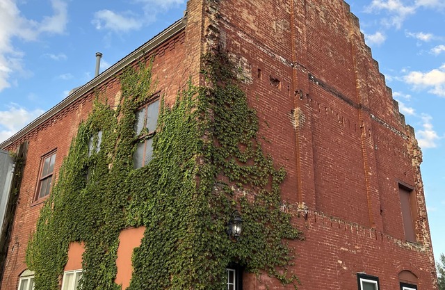 Brick & Vine Suite - Newly Remodeled!