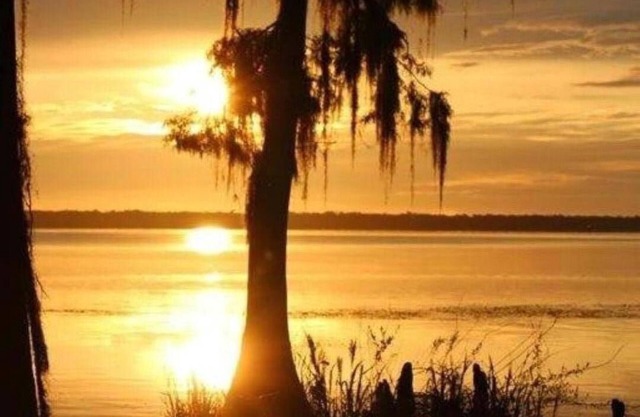 Bring your Boat to our River House and enjoy the beautiful St Johns River.
