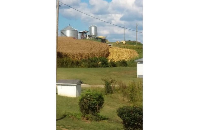 Brown Tiny House Unit 4