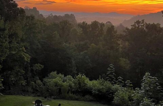 Buckhead Lodge - Tri-Level Cabin with Mountain Views