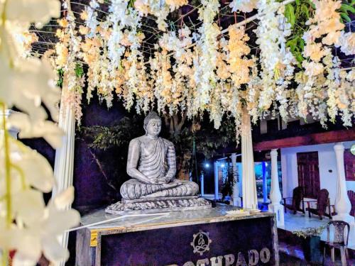 Buddothpado International Meditation Center