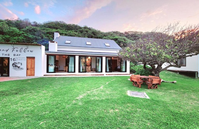 Buff and Fellow by the Bay