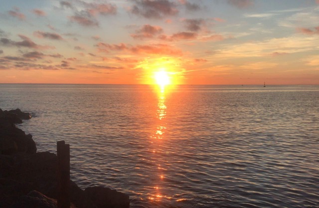 Bungalow with gardens and pool