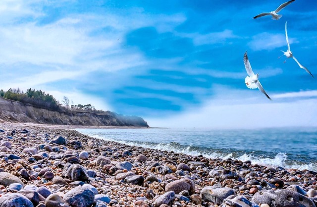 Bungalowdorf Sonne & Meer - Category 3 No. 14 - Ferienpark Bakenberg