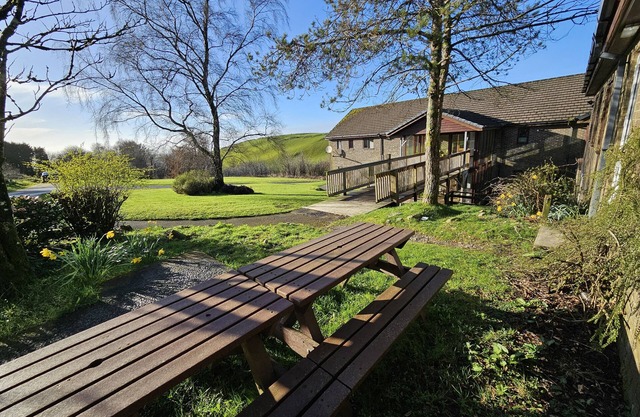 Bunkhouse/20Bedroom/Sleeps85/4Acre/Gamesroom/Wifi