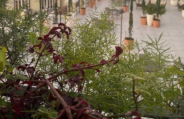 Buona Vitta Resort e Spa - Gramado