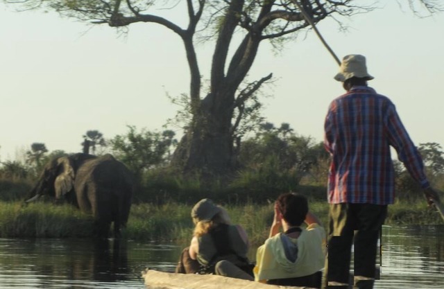 Bushemen Plains Camp-Wild Map Safaris