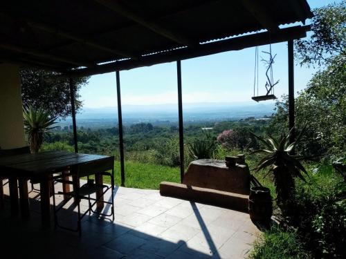 Bushwhacked Barberton