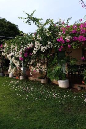 Cabaña Ecoturismo Los Mangos