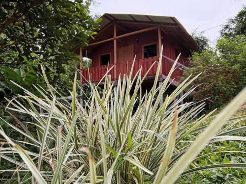 Cabaña En El Bosque