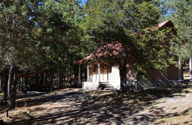 Cabaña Familiar en el Bosque Parque La Pirámide