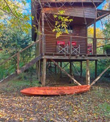 Cabaña Los Cipreses