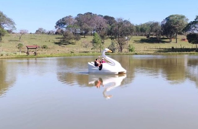 Cabaña Mi Querido Viejo
