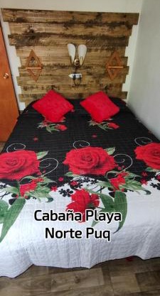 Cabaña Playa Norte Puq cabaña 2