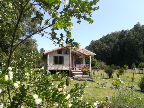 Cabañas Aliwen Panguipulli