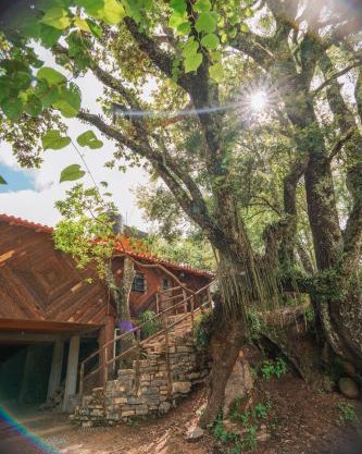 cabañas cruz verde