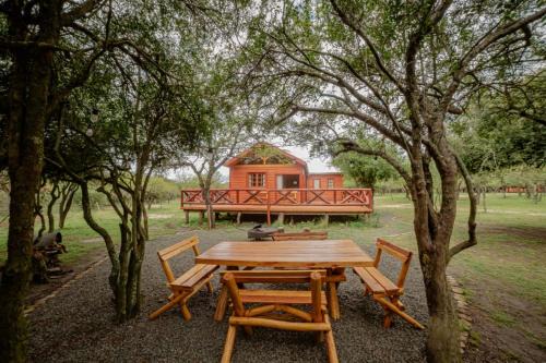 Cabañas del Viñedo
