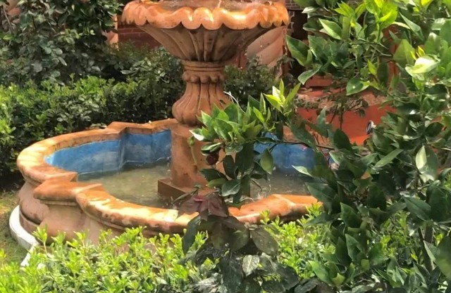 Cabañas Elsa María