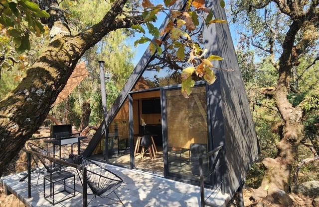 Cabañas Grasshopper SHIELD