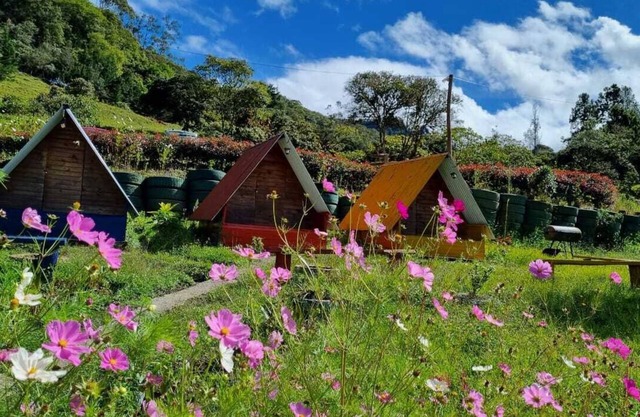 Cabañas la Campiña