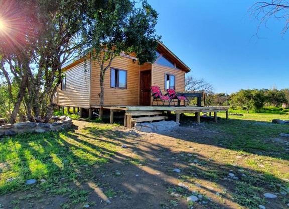 Cabañas Llepu