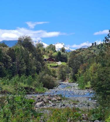 Cabañas Mirador del Puma