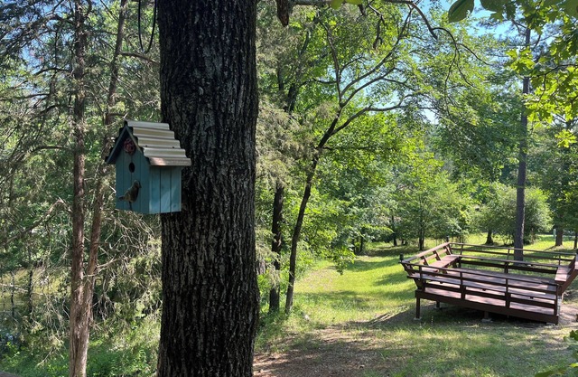 Cabin #16 Venus Inn Lake Cabin