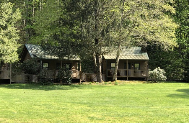 Cabin on a hillside overlooking beautiful Valley Springs Lake pet friendly (dog)