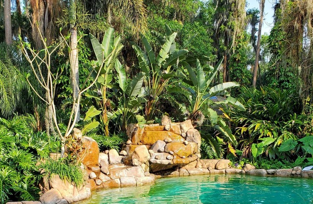 Cabin over the Water's Edge-Stilts included