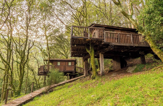 CABINS in the trees.