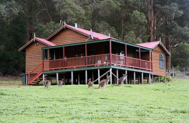 Cabins Nestled in 170 Acres of old Growth Forest Near the Valley of the Giants
